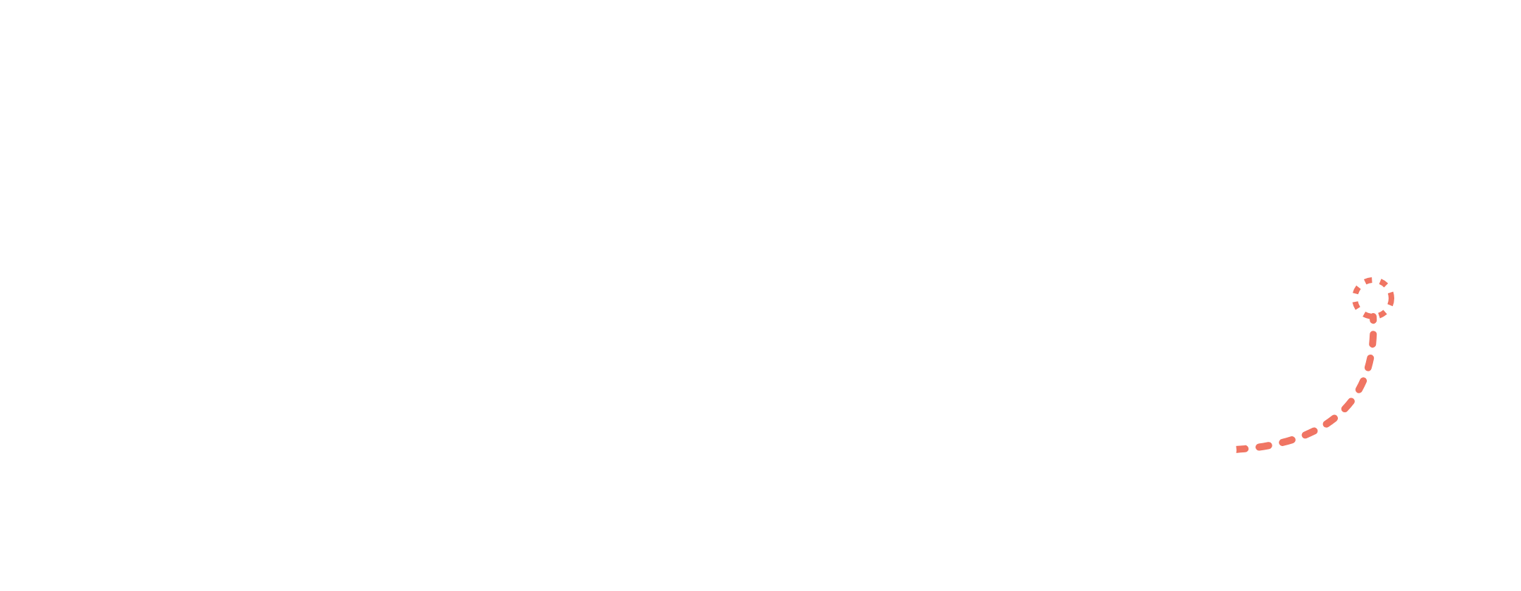 مسار يمر بالمجالات: التعليم والإرشاد والتدريب والتيسير والأنشطة والبرامج الشبابية